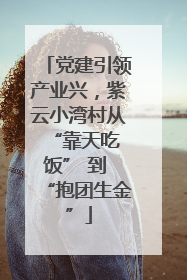 党建引领产业兴，紫云小湾村从 “靠天吃饭” 到 “抱团生金”