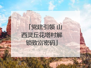 党建引领 山西灵丘花塔村解锁致富密码