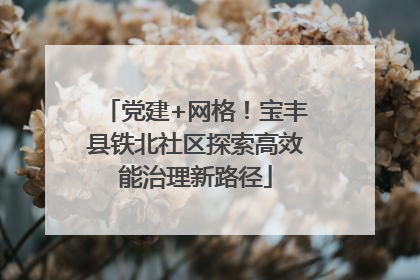 党建+网格！宝丰县铁北社区探索高效能治理新路径