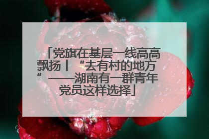 党旗在基层一线高高飘扬丨“去有村的地方”——湖南有一群青年党员这样选择