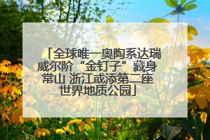 全球唯一奥陶系达瑞威尔阶“金钉子”藏身常山 浙江或添第二座世界地质公园
