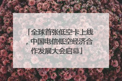 全球首张低空卡上线，中国电信低空经济合作发展大会启幕