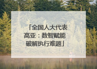 全国人大代表高亚：数智赋能破解执行难题