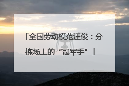 全国劳动模范汪俊：分拣场上的“冠军手”