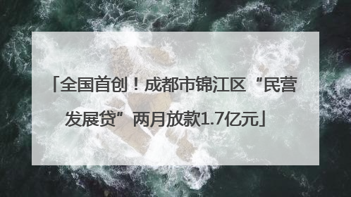 全国首创！成都市锦江区“民营发展贷”两月放款1.7亿元