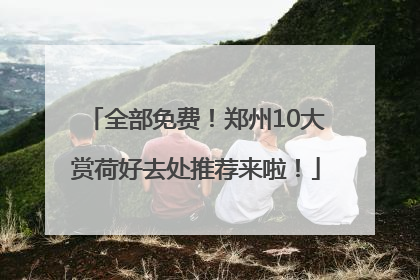 全部免费！郑州10大赏荷好去处推荐来啦！