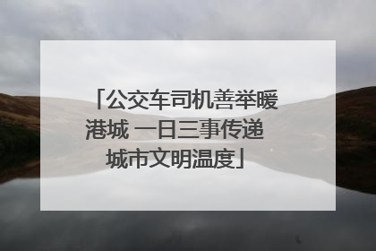 公交车司机善举暖港城 一日三事传递城市文明温度