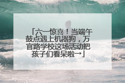 六一惊喜！当端午鼓点遇上机器狗，万官路学校这场活动把孩子们看呆啦→