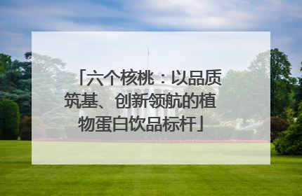六个核桃：以品质筑基、创新领航的植物蛋白饮品标杆