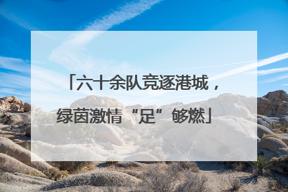 六十余队竞逐港城，绿茵激情“足”够燃