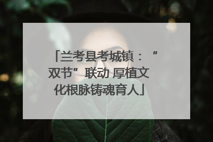 兰考县考城镇：“双节”联动 厚植文化根脉铸魂育人