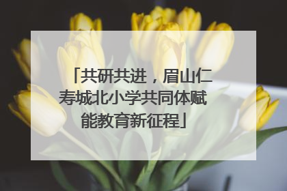 共研共进，眉山仁寿城北小学共同体赋能教育新征程