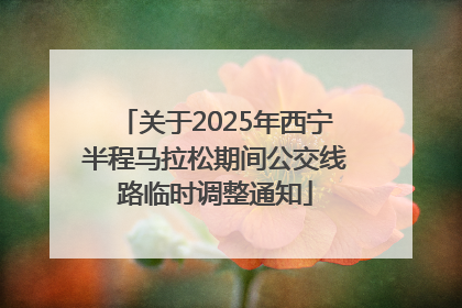 关于2025年西宁半程马拉松期间公交线路临时调整通知