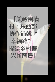 关岭围墙村：东西部协作铺就“幸福路” 描绘乡村振兴新图景