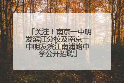关注！南京一中明发滨江分校及南京一中明发滨江南浦路中学公开招聘