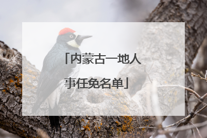 内蒙古一地人事任免名单