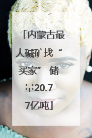 内蒙古最大碱矿找“买家” 储量20.77亿吨