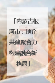 内蒙古根河市：地企共建聚合力构建融合新格局