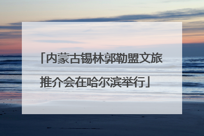 内蒙古锡林郭勒盟文旅推介会在哈尔滨举行