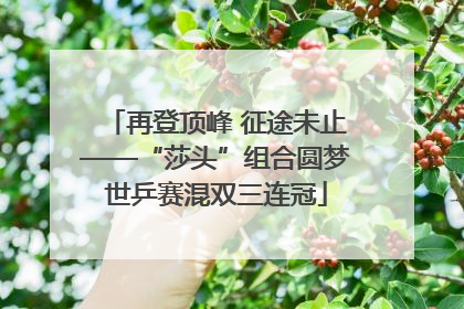 再登顶峰 征途未止——“莎头”组合圆梦世乒赛混双三连冠
