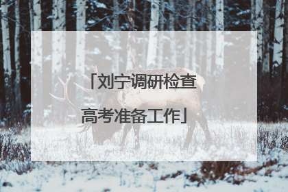 刘宁调研检查高考准备工作
