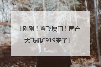 刚刚！首飞厦门！国产大飞机C919来了