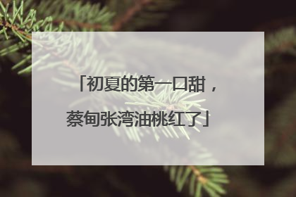 初夏的第一口甜，蔡甸张湾油桃红了