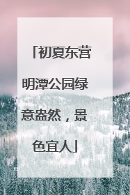 初夏东营明潭公园绿意盎然，景色宜人