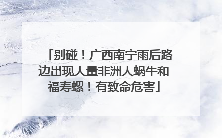 别碰！广西南宁雨后路边出现大量非洲大蜗牛和福寿螺！有致命危害