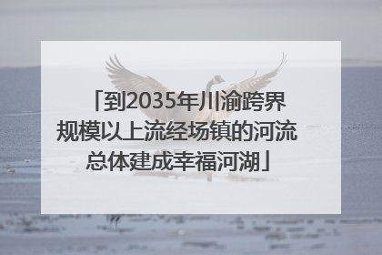 到2035年川渝跨界规模以上流经场镇的河流总体建成幸福河湖