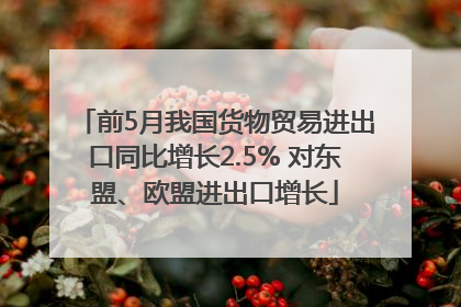 前5月我国货物贸易进出口同比增长2.5% 对东盟、欧盟进出口增长