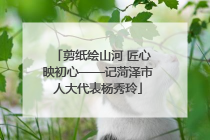 剪纸绘山河 匠心映初心——记菏泽市人大代表杨秀玲