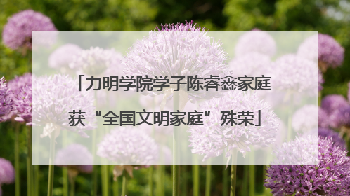 力明学院学子陈睿鑫家庭获“全国文明家庭”殊荣
