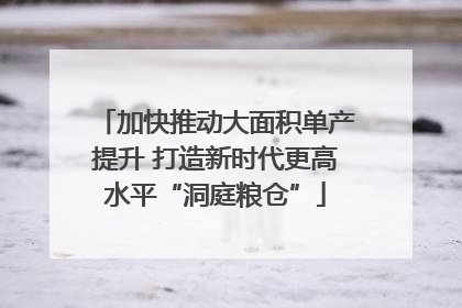 加快推动大面积单产提升 打造新时代更高水平“洞庭粮仓”