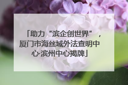 助力“滨企创世界”，厦门市海丝域外法查明中心·滨州中心揭牌