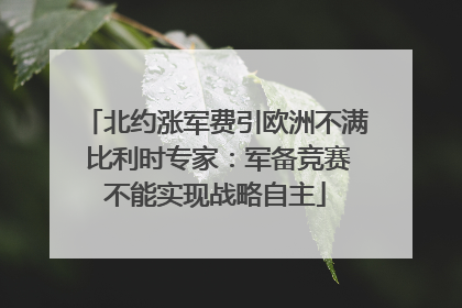 北约涨军费引欧洲不满 比利时专家：军备竞赛不能实现战略自主