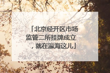 北京经开区市场监管二所挂牌成立，就在瀛海这儿