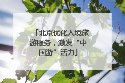 北京优化入境旅游服务，激发“中国游”活力