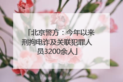 北京警方：今年以来刑拘电诈及关联犯罪人员3200余人