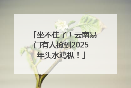 坐不住了！云南易门有人捡到2025年头水鸡枞！