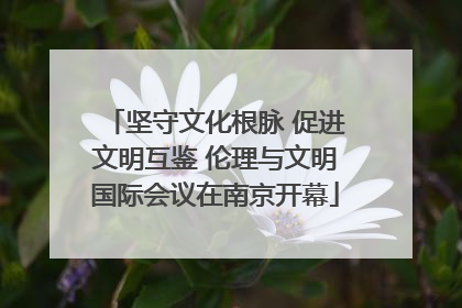 坚守文化根脉 促进文明互鉴 伦理与文明国际会议在南京开幕