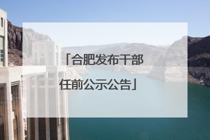 合肥发布干部任前公示公告