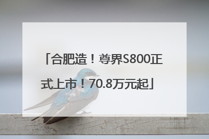 合肥造！尊界S800正式上市！70.8万元起