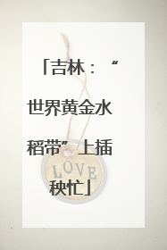 吉林：“世界黄金水稻带”上插秧忙