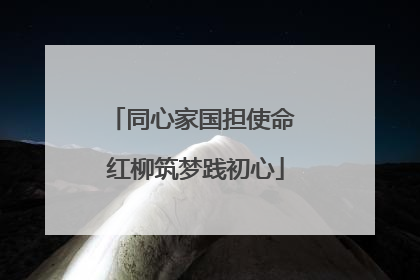 同心家国担使命 红柳筑梦践初心