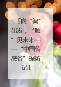 向“智”出发，“触”见未来——“中国传感谷”探访记