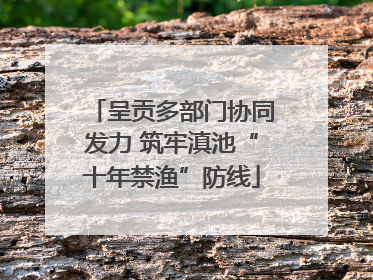 呈贡多部门协同发力 筑牢滇池“十年禁渔”防线