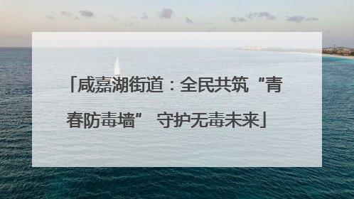 咸嘉湖街道：全民共筑“青春防毒墙” 守护无毒未来