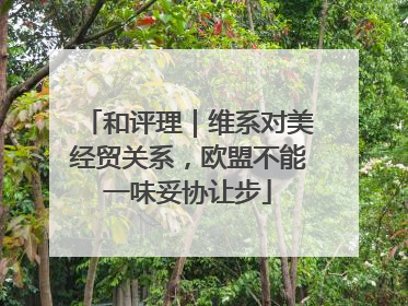 和评理｜维系对美经贸关系，欧盟不能一味妥协让步