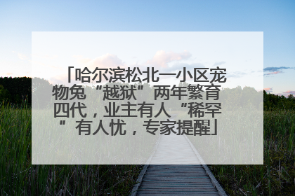 哈尔滨松北一小区宠物兔“越狱”两年繁育四代，业主有人“稀罕”有人忧，专家提醒